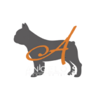 Angelo's Bar Ibiza